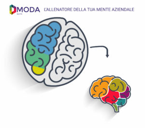 suite_dmoda_emmedata_erp_fashion